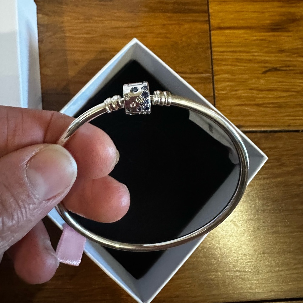 NWT Pandora Silver Charm Bangle Bracelet